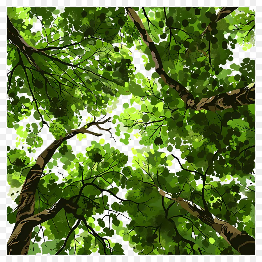 Лесной навес，зеленые деревья PNG