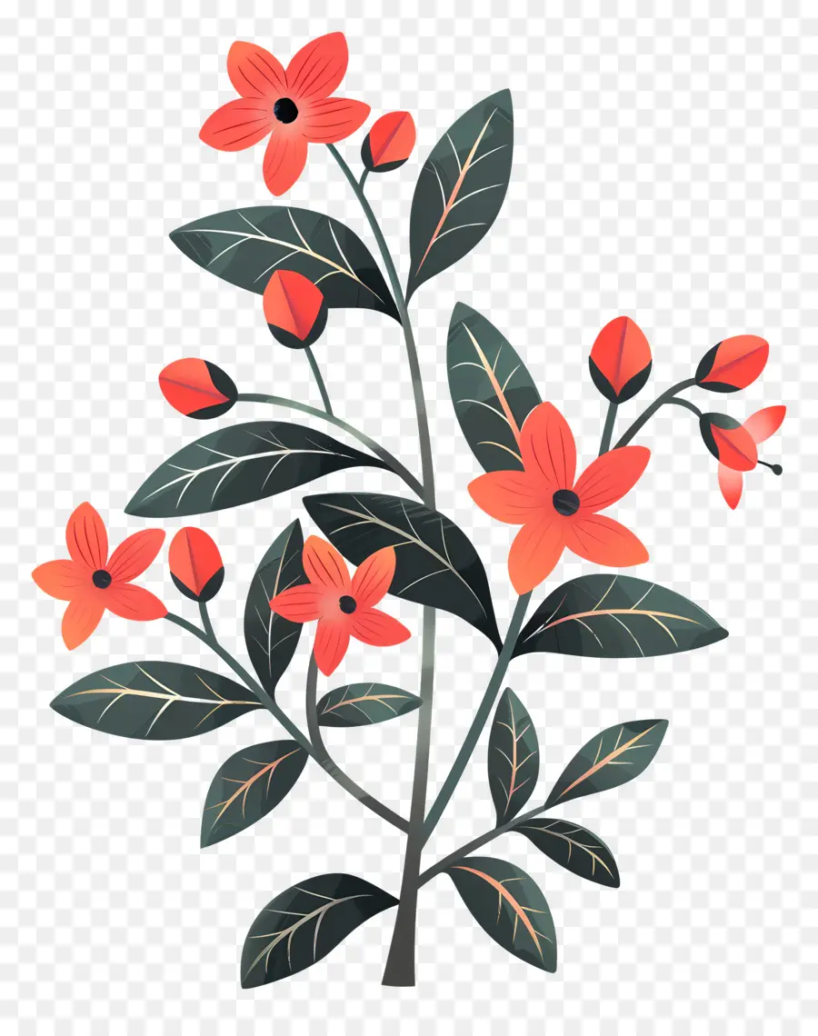 оранжевые цветы，Зеленое листовое растение PNG