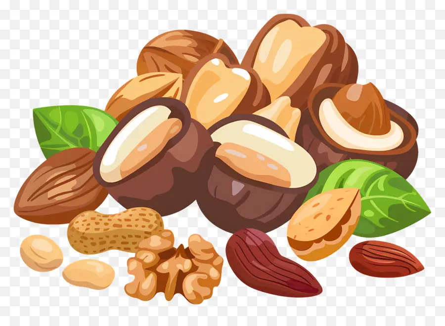 Nuts，семена PNG