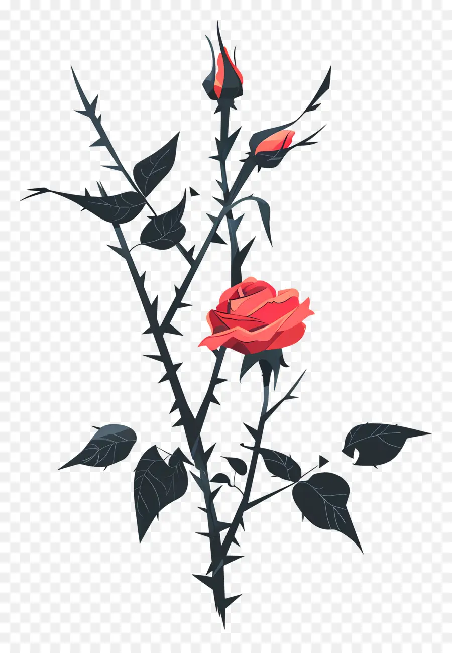 розовые шипы，красная роза PNG