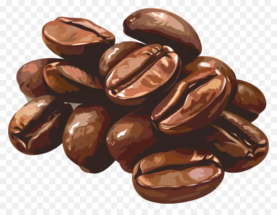 кофе в зернах，коричневый PNG