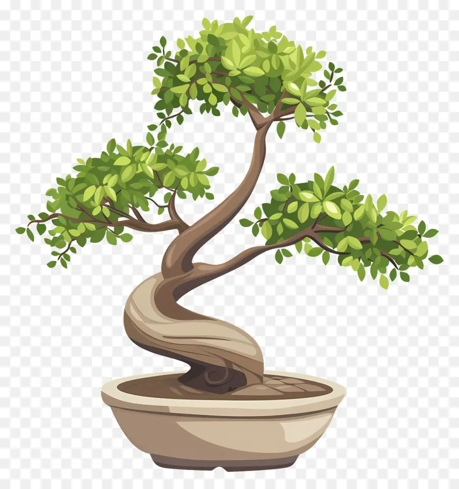 бонсай дерево，крытый садоводства PNG