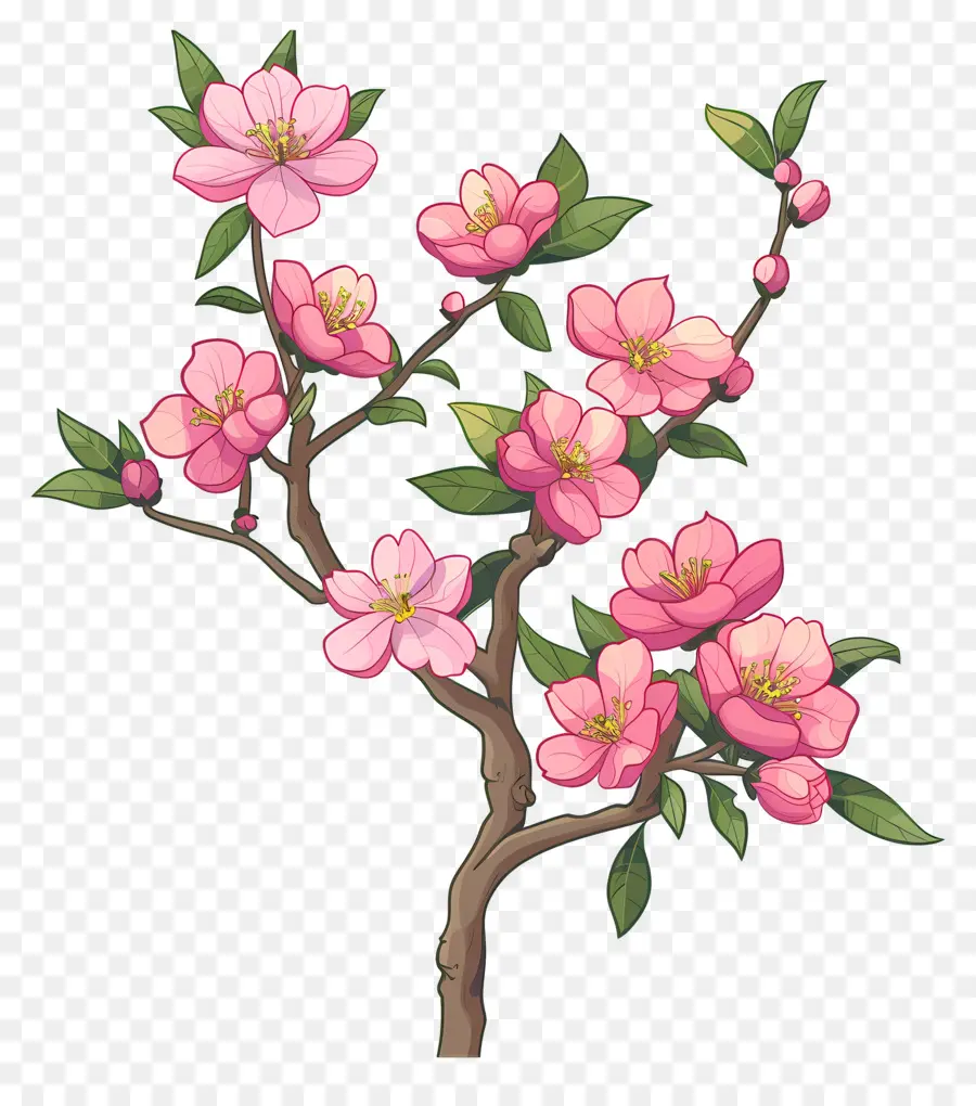 розовый цветок，Дерево PNG