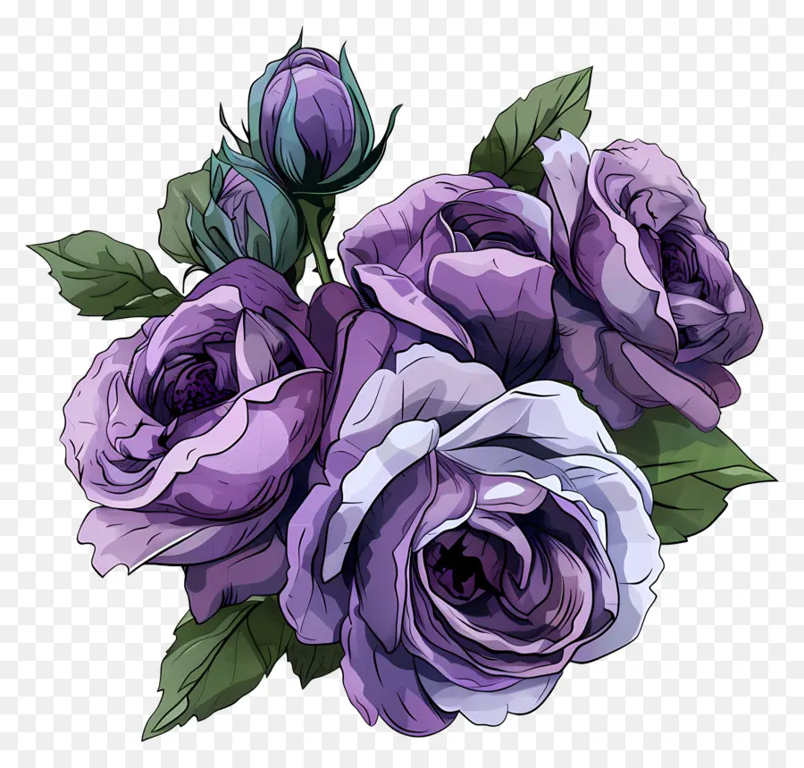 букет роз ，фиолетовые розы PNG