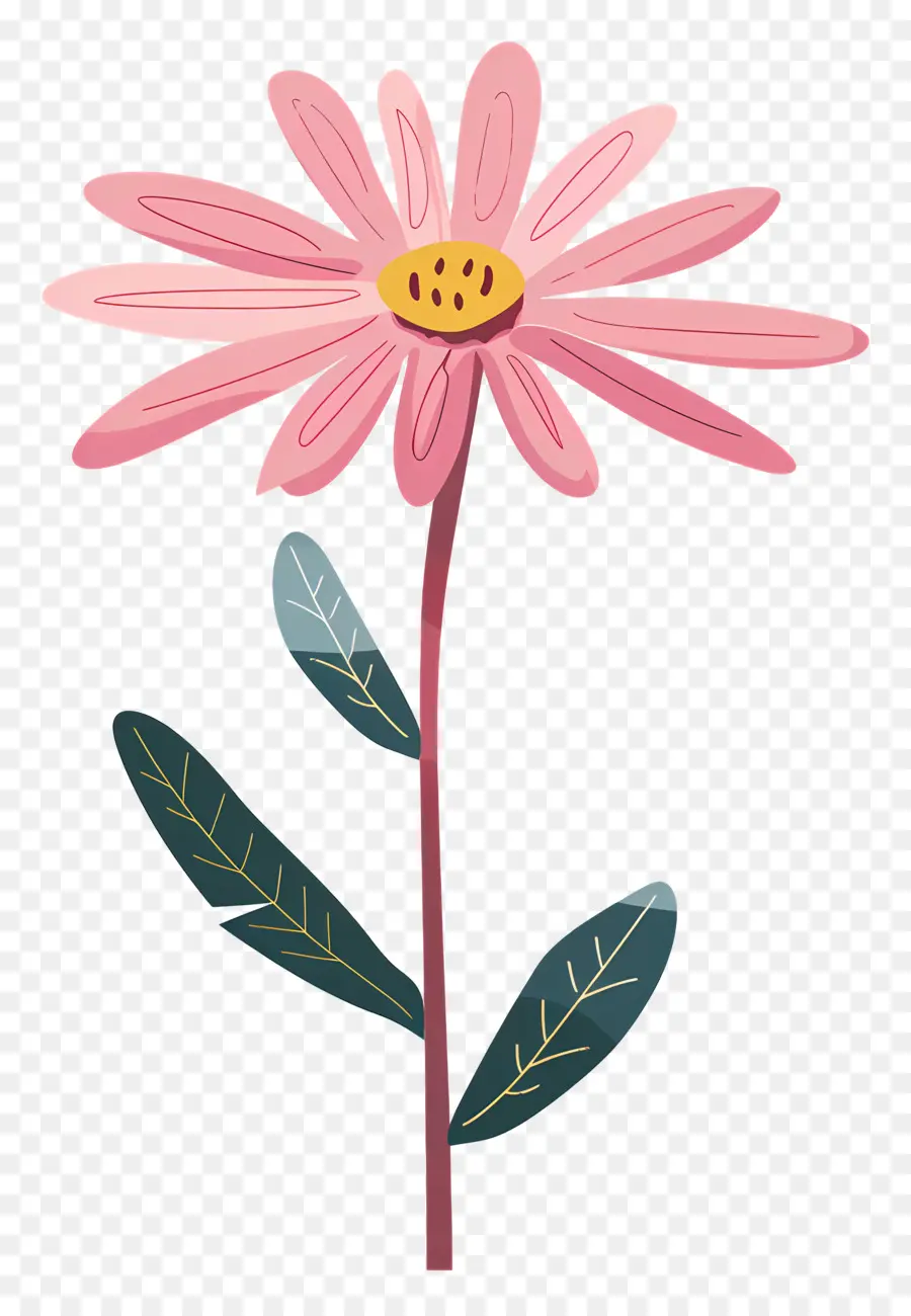 розовая Маргаритка，розовый цветок PNG