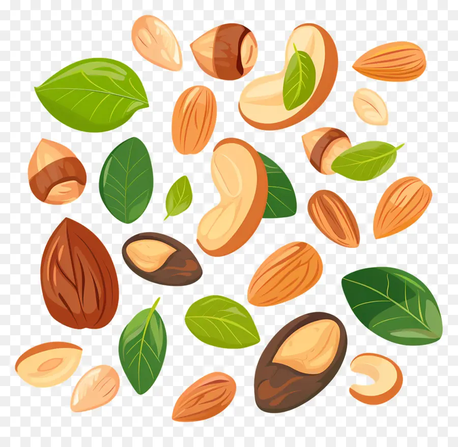 Nuts，семена PNG