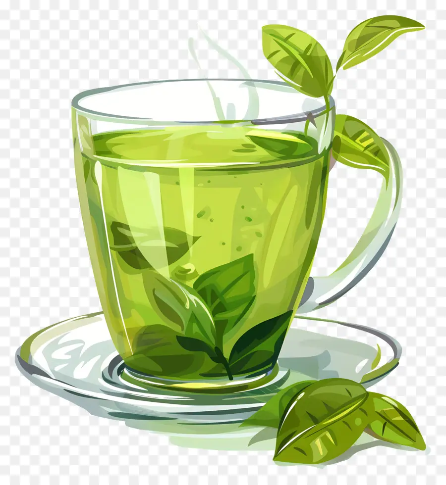 Green Tea，Зеленый чайный чай PNG