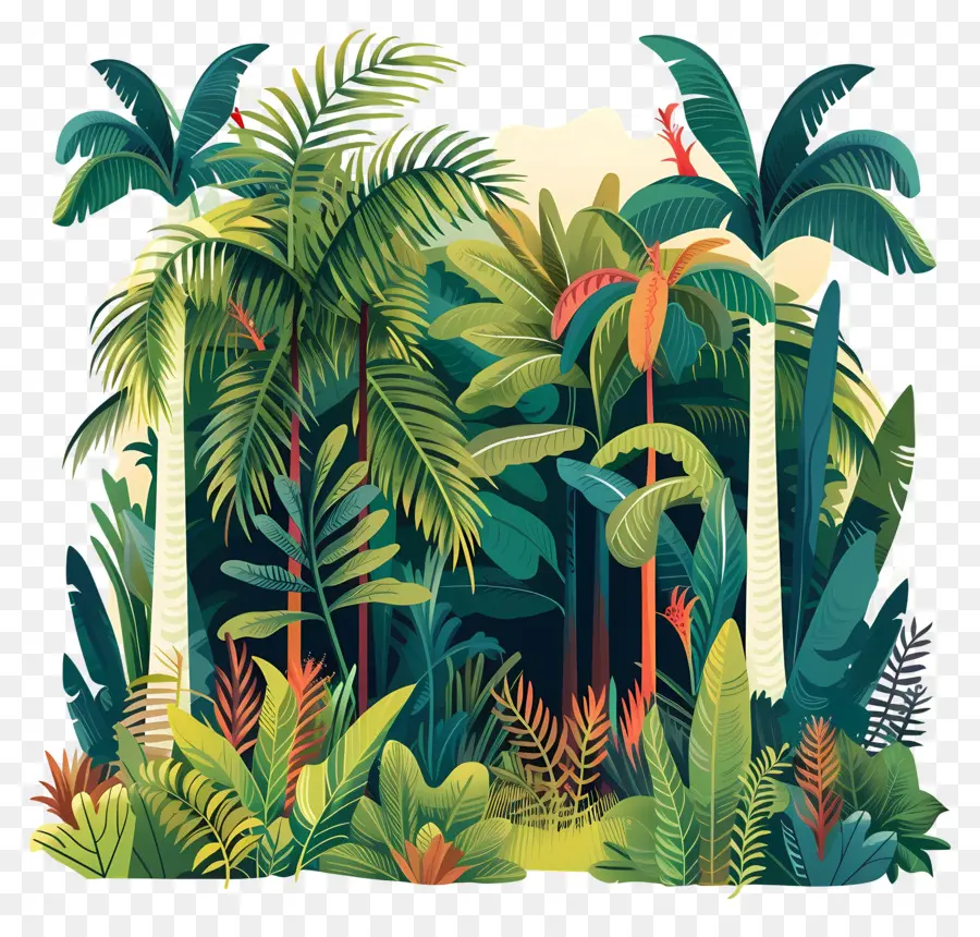 Tropical Forest，Тропический лес PNG
