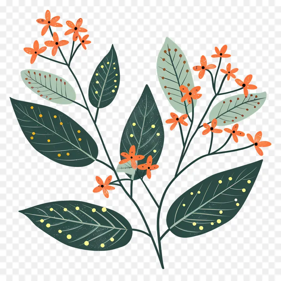 Листовая ветка，мелкие листья PNG
