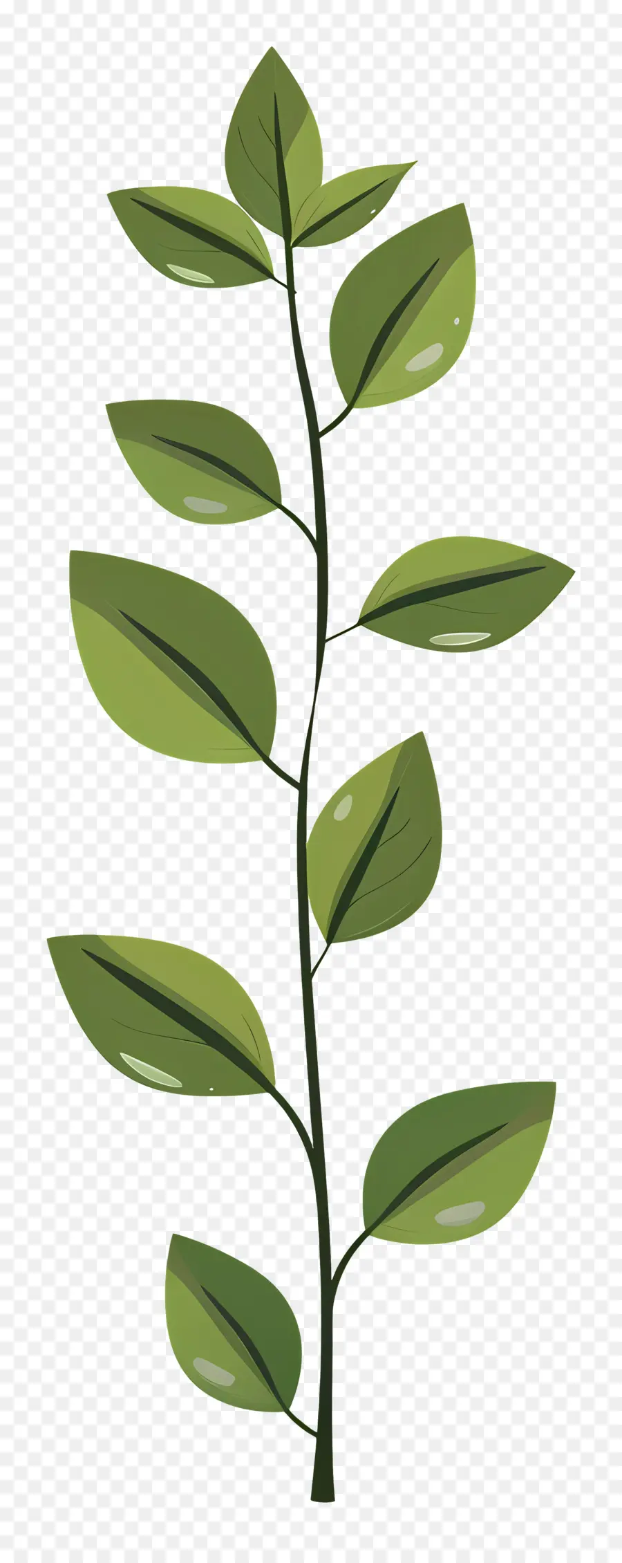 Стебель растения ，зеленое растение PNG