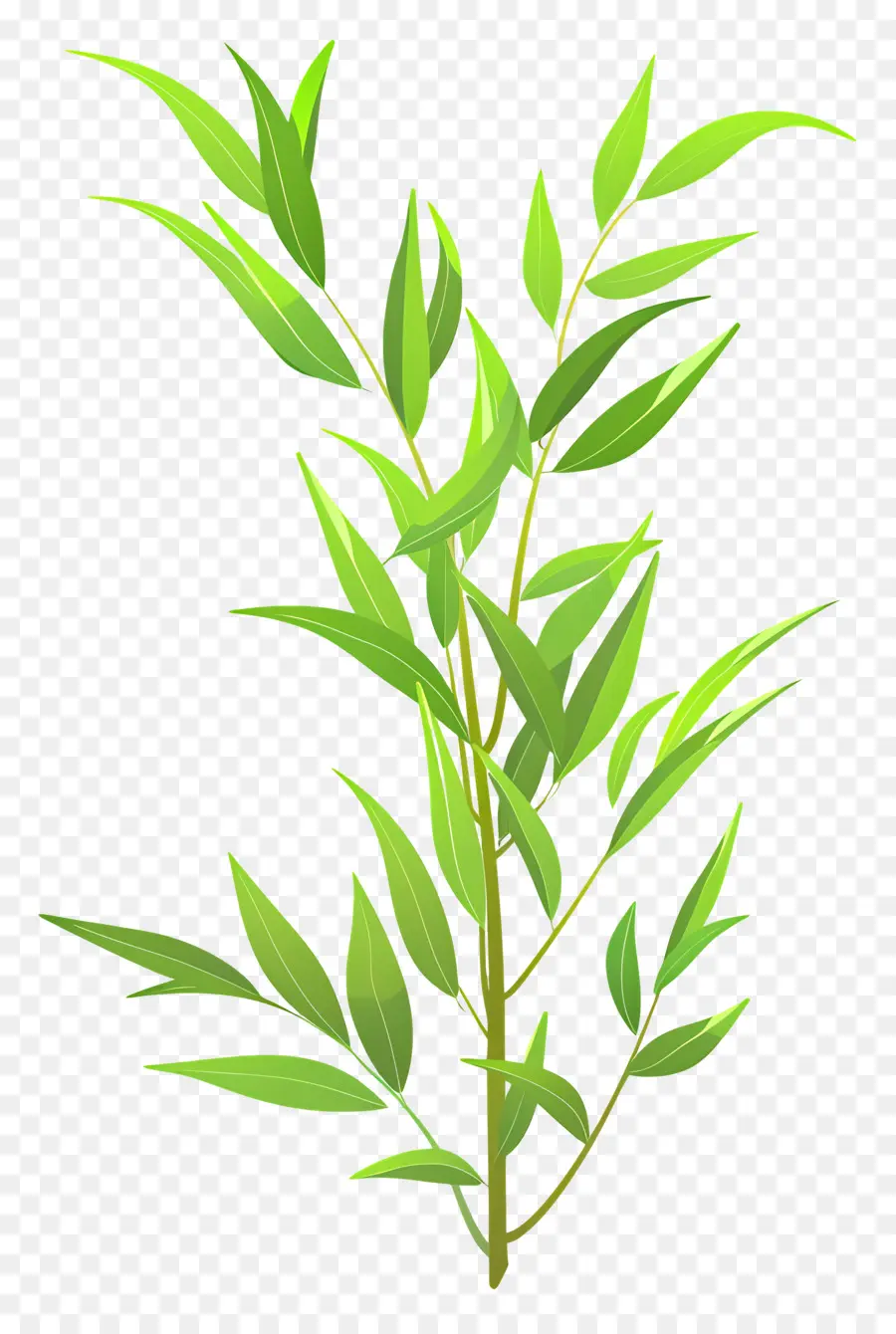ивовый лист ，бамбуковое дерево PNG