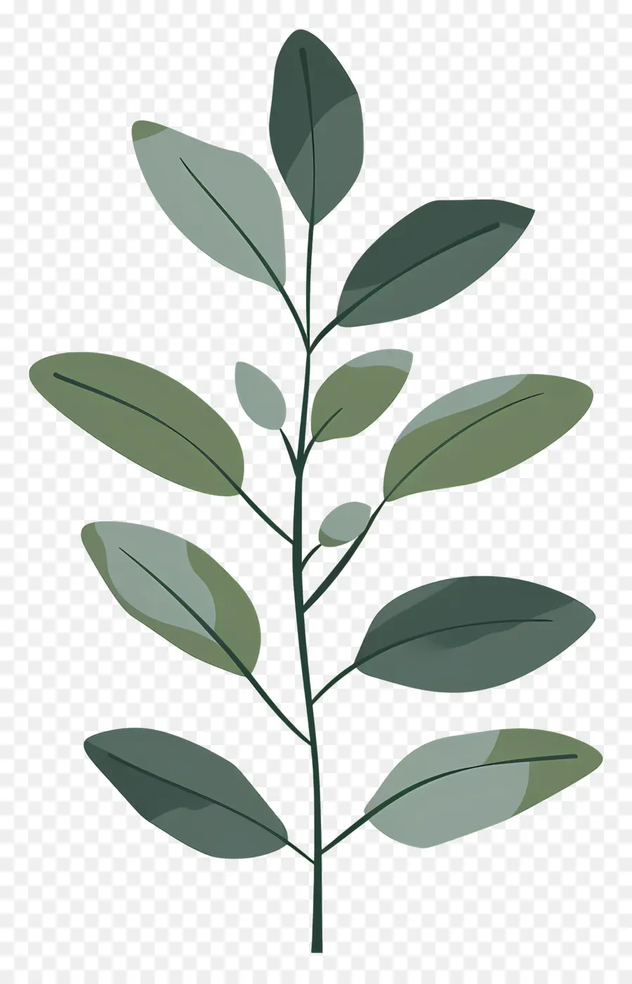 Стебель растения ，Листовое зеленое растение PNG