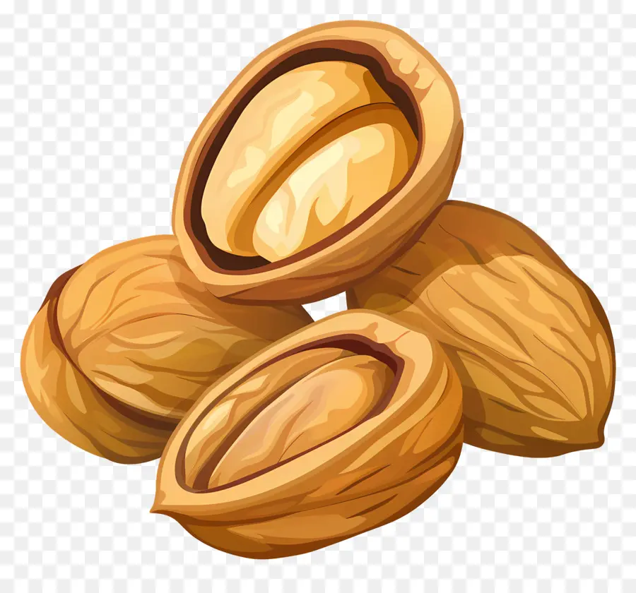 Nuts，жареные грецкие орехи PNG