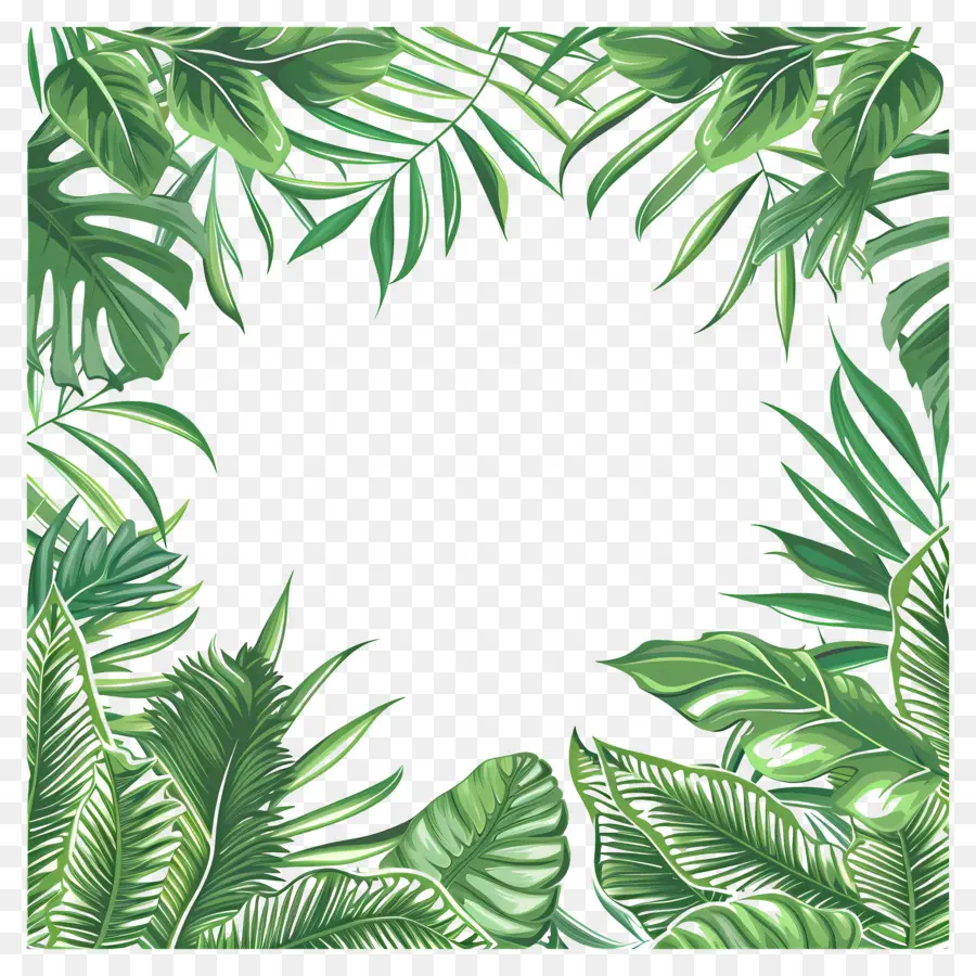 Тропическая граница листьев，зеленый пальмовых листьев PNG