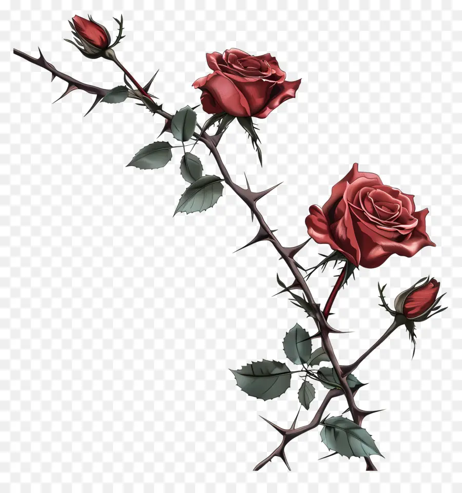 розовые шипы，Красные Розы PNG
