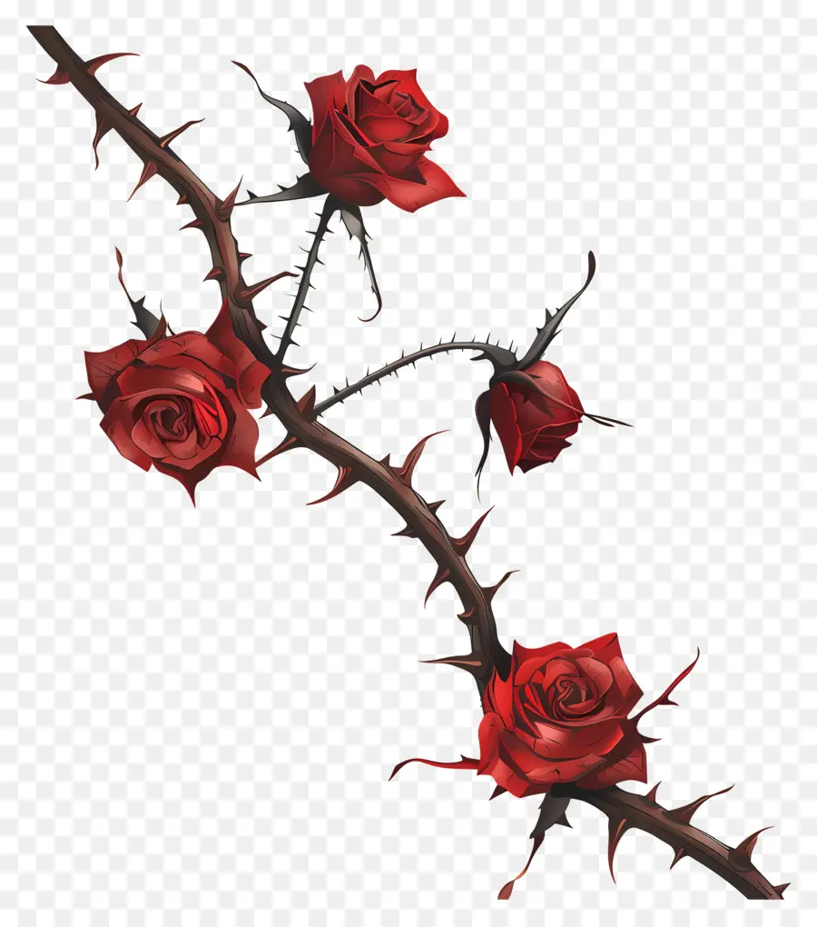 розовые шипы，Красные Розы PNG