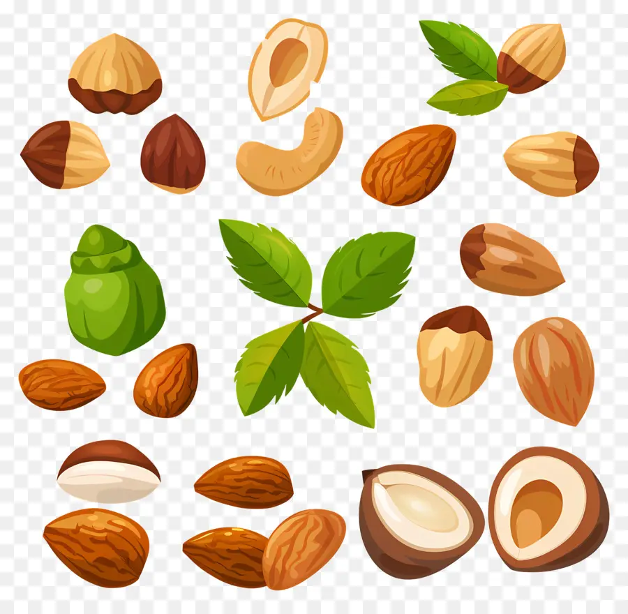 Nuts，миндаль PNG
