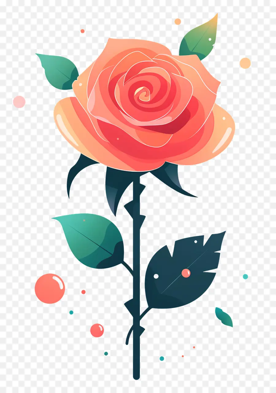 Роза с каплями росы，розовый цветок PNG