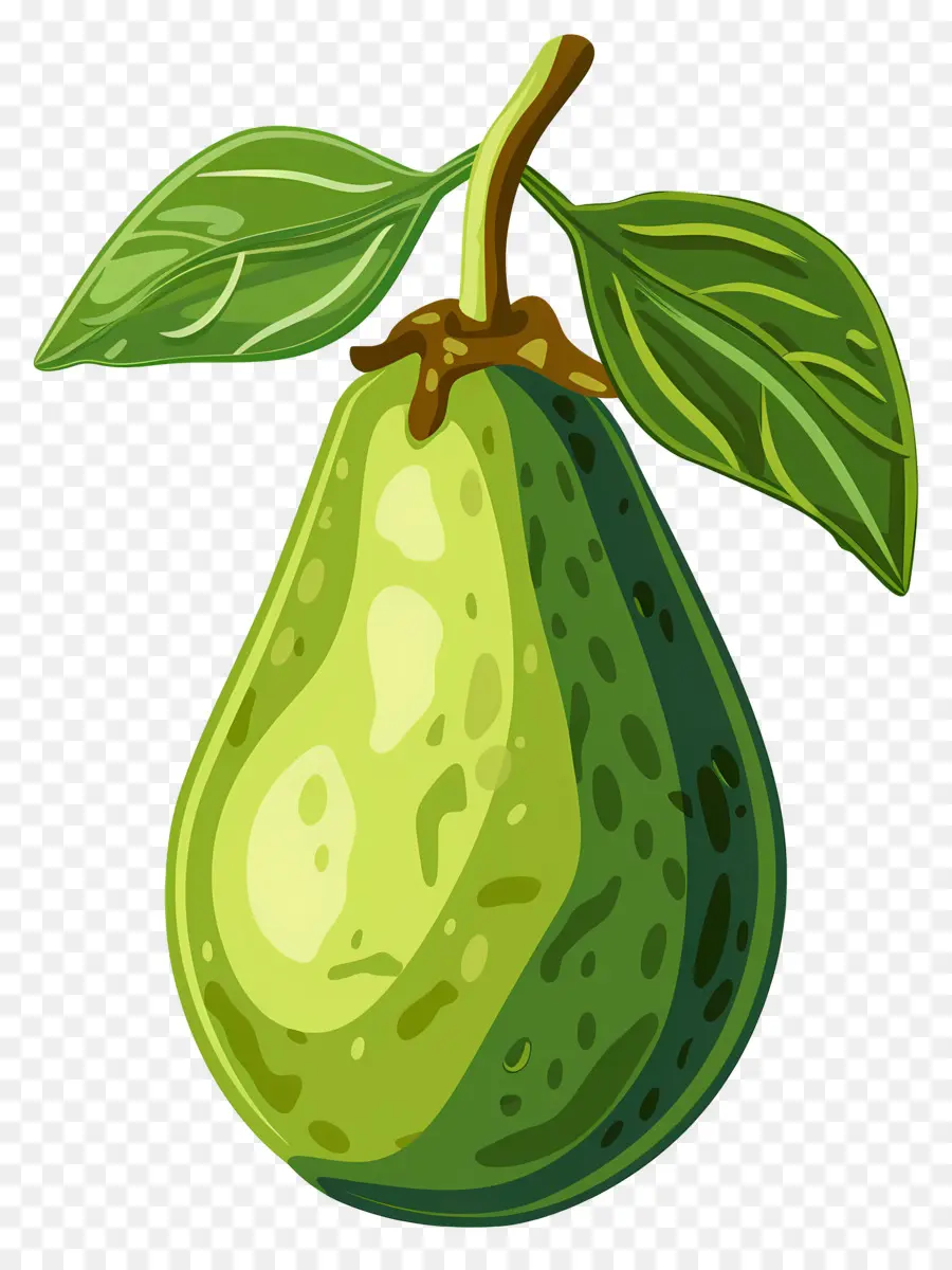 Авокадо，зеленая груша PNG