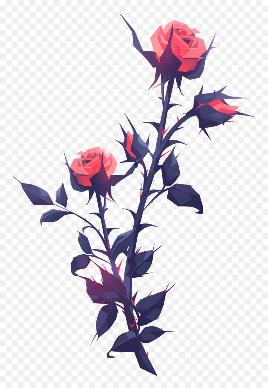 розовые шипы，растение роза  PNG