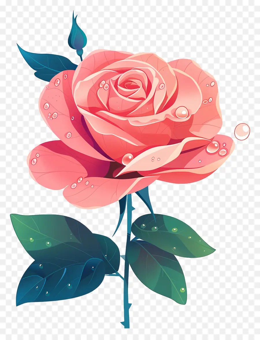 Роза с каплями росы，Роза PNG