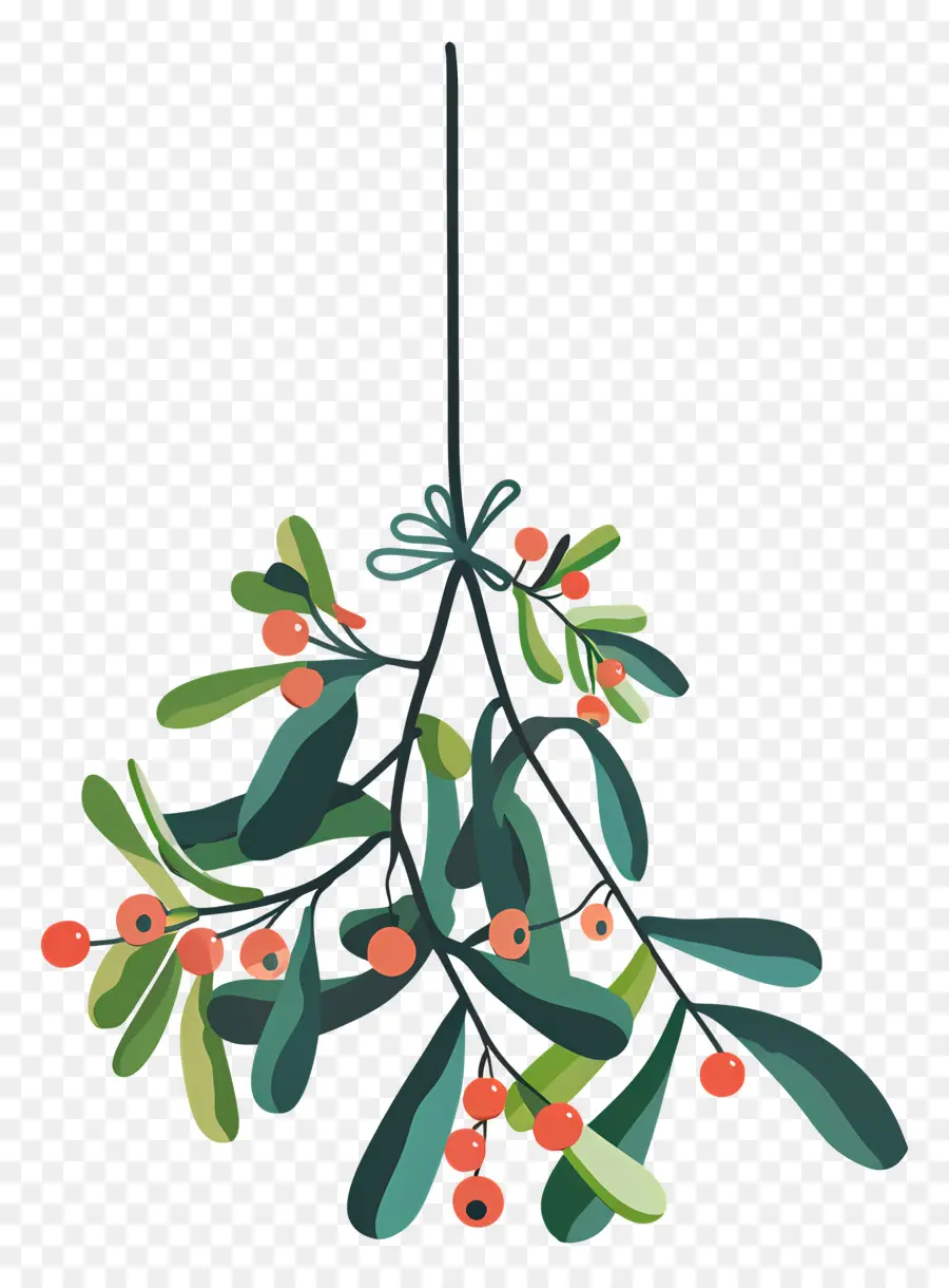 Висящая омела，Рождественская елка PNG