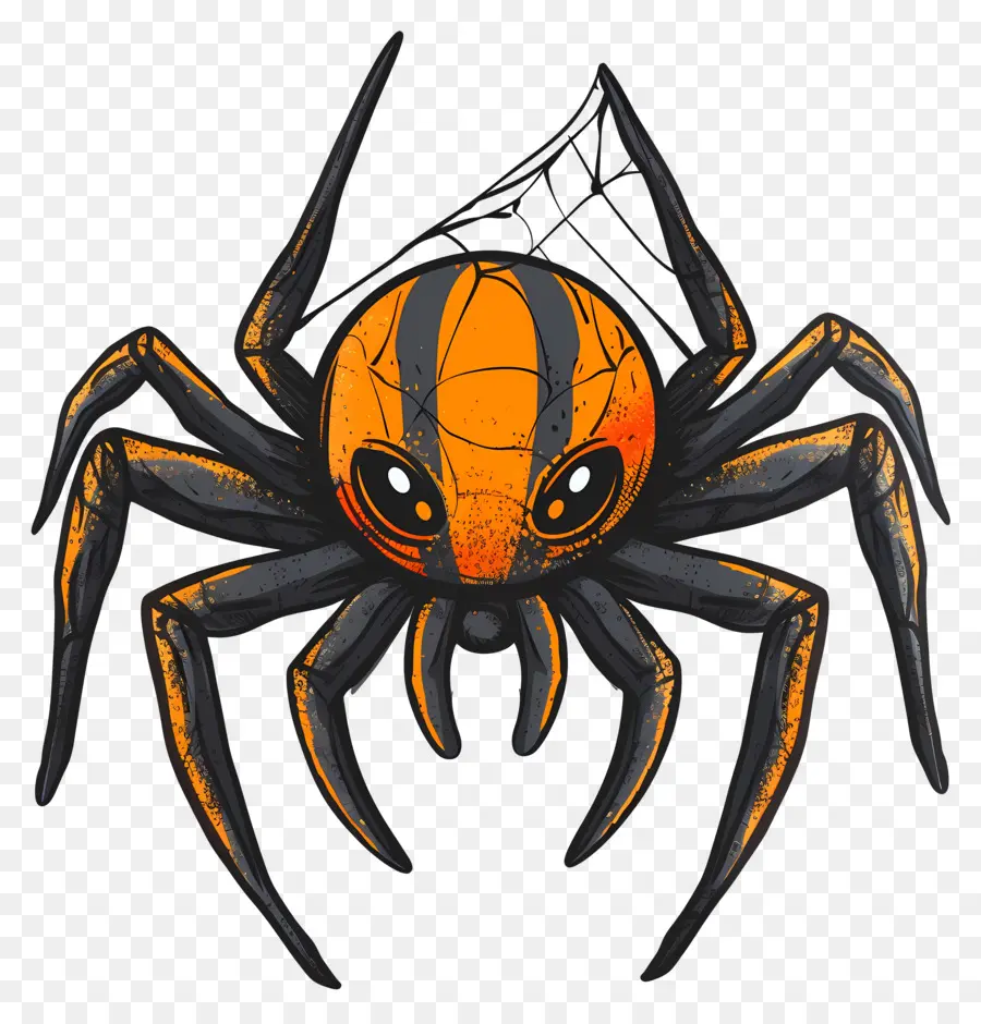 паук Хеллоуин ，паук PNG