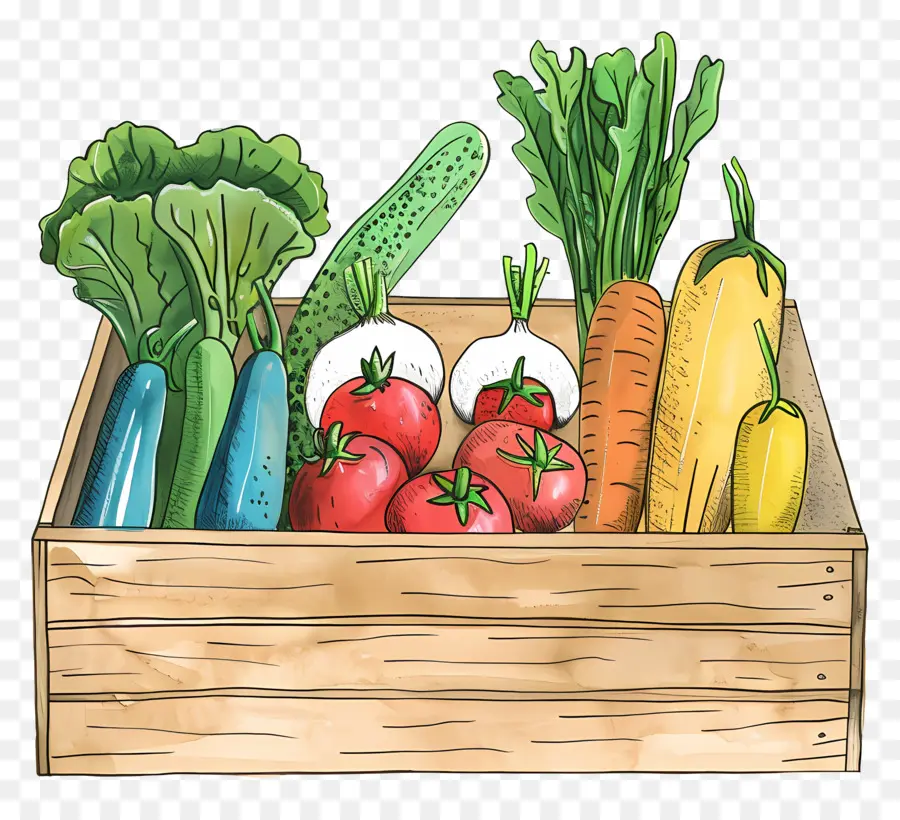 овощная коробка，овощи PNG