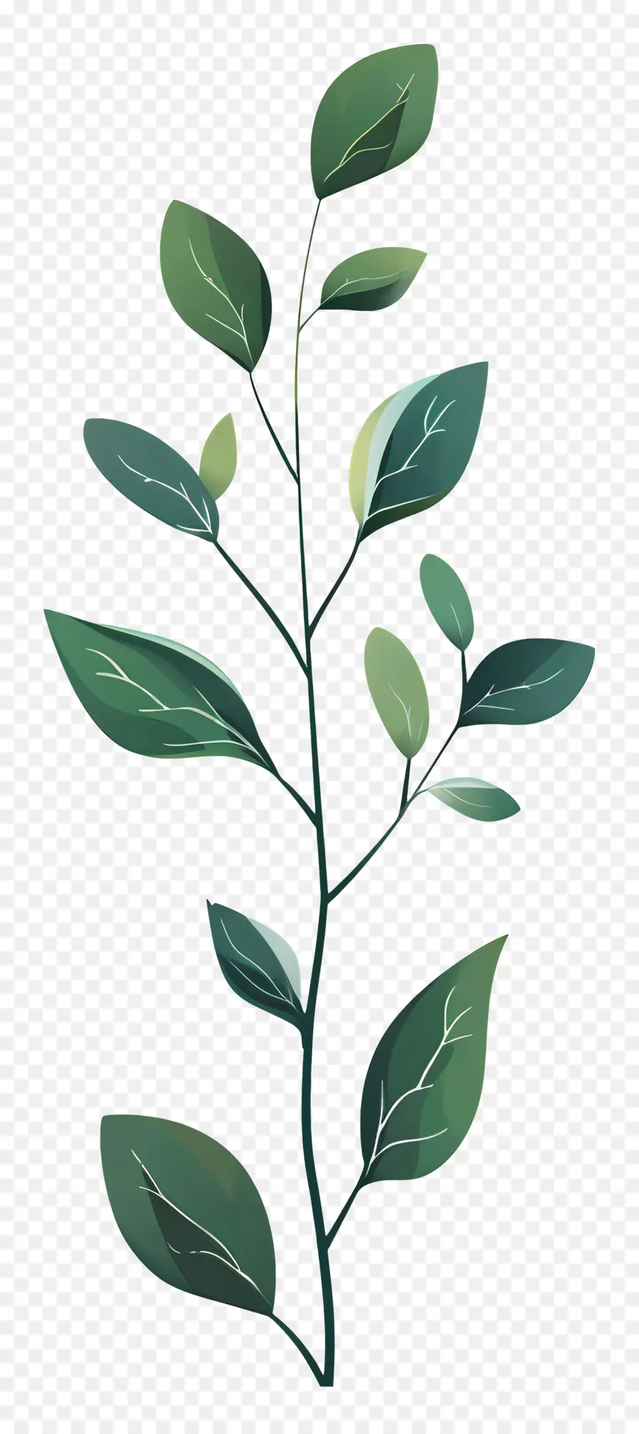Стебель растения ，зеленые листья PNG