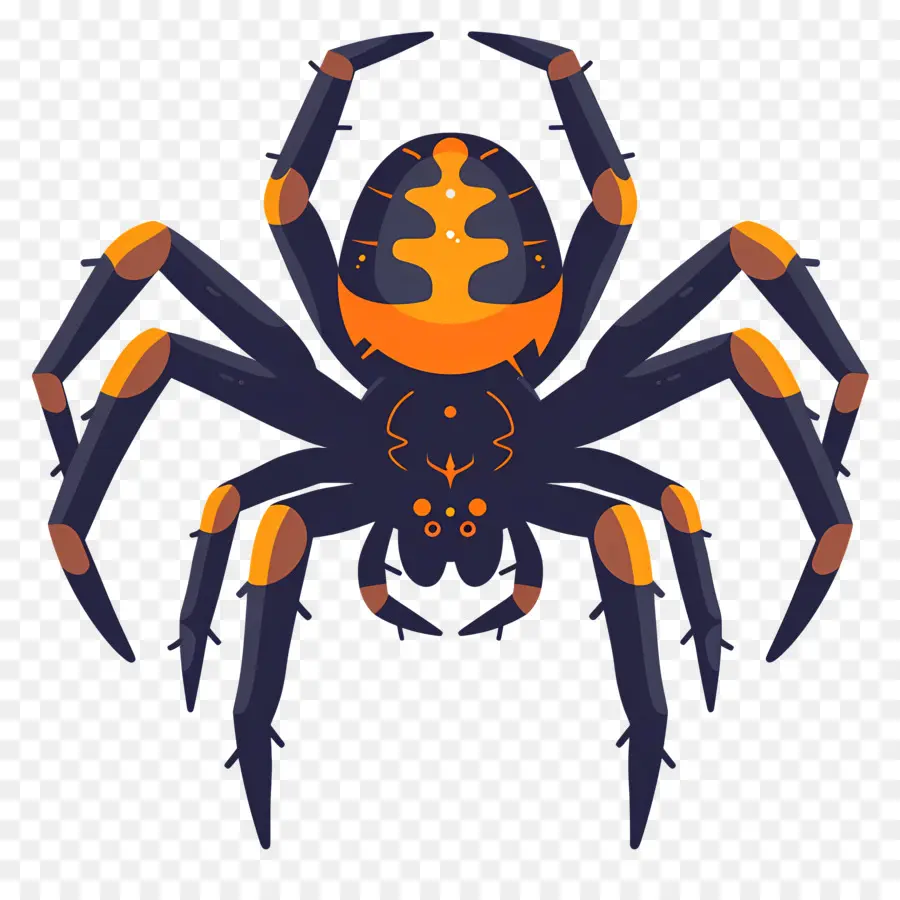паук Хеллоуин ，паук PNG