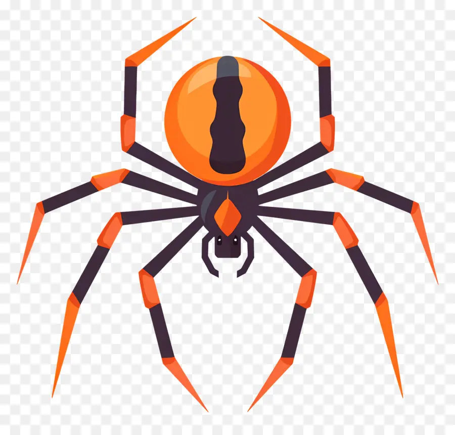 паук Хеллоуин ，черный паук вдовы  PNG