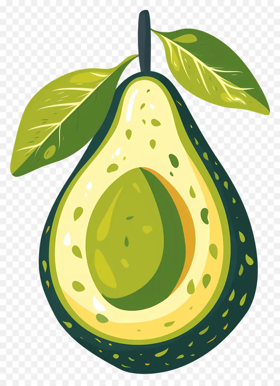 Авокадо，зеленый лист PNG