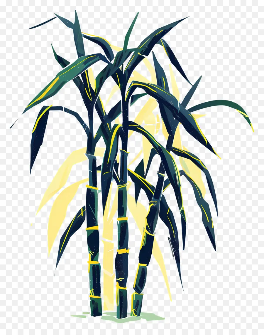 Sugarcane，пальму PNG