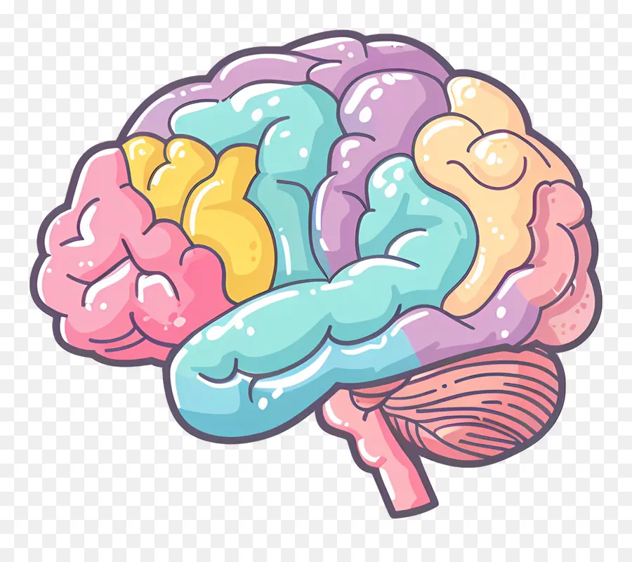 мультфильм мозг，анатомия головного мозга  PNG