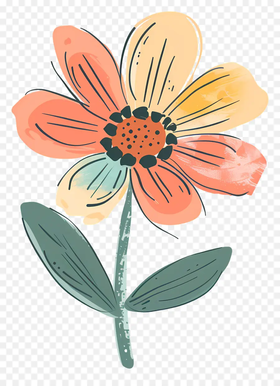 мультфильм цветок，цветок эскиз PNG