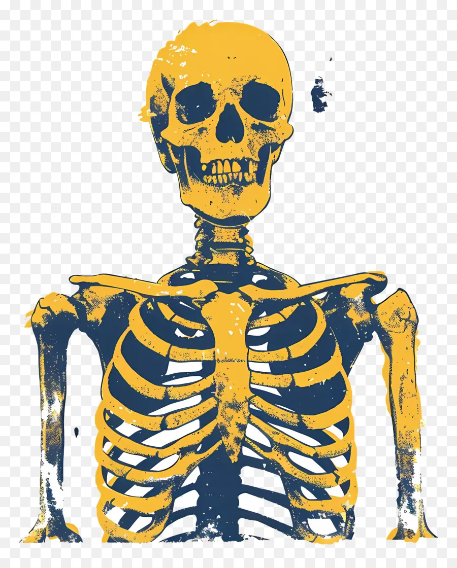 Скелет，синяя и желтая одежда PNG