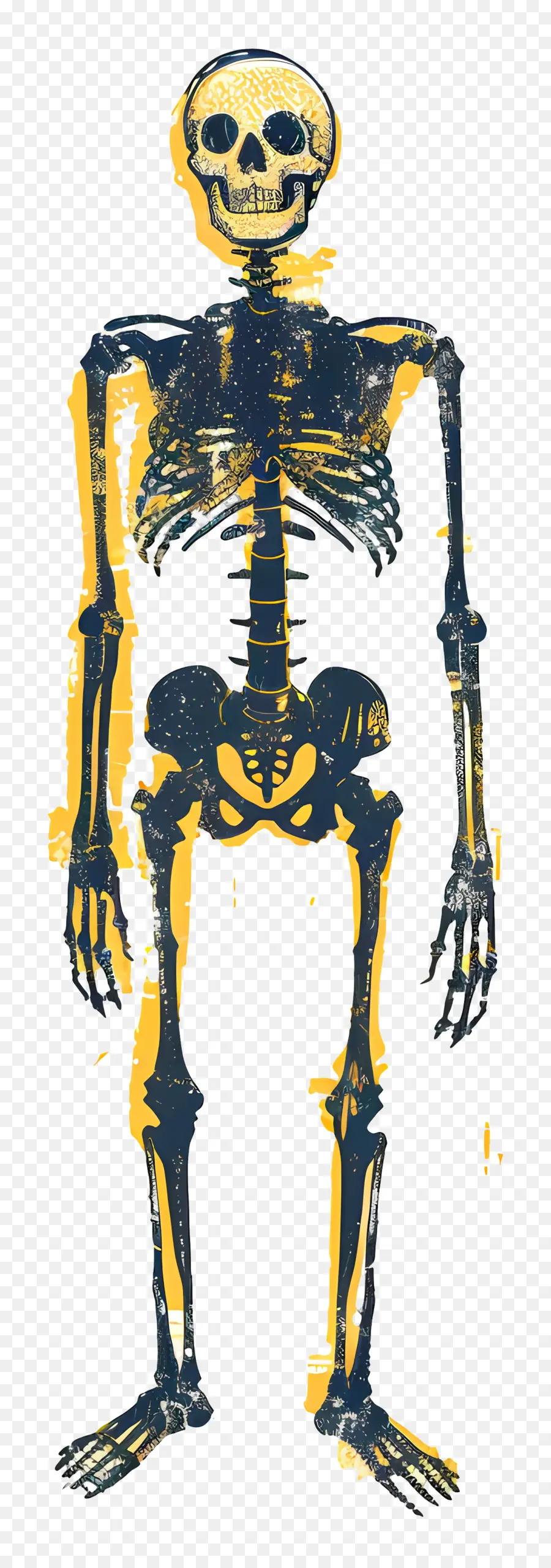 Скелет，Bones PNG