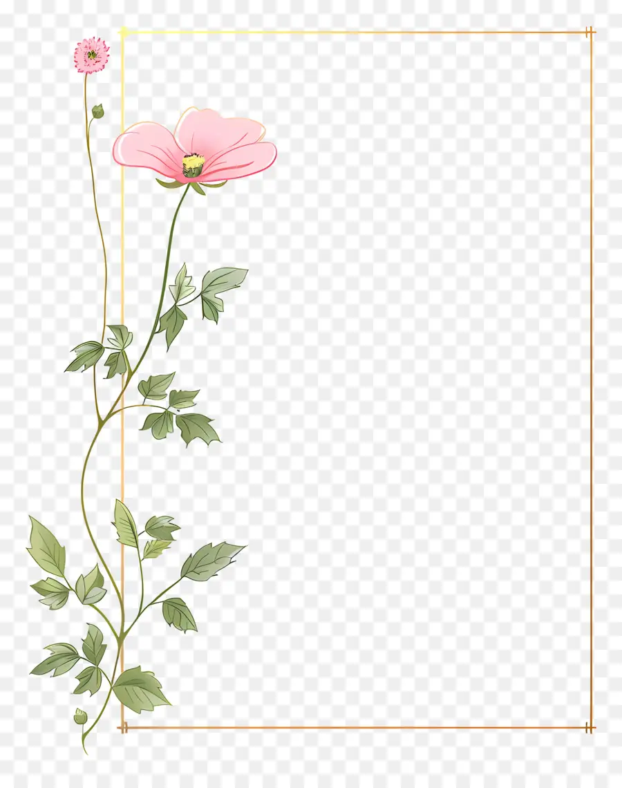 Золотая линия рама，розовый цветок PNG