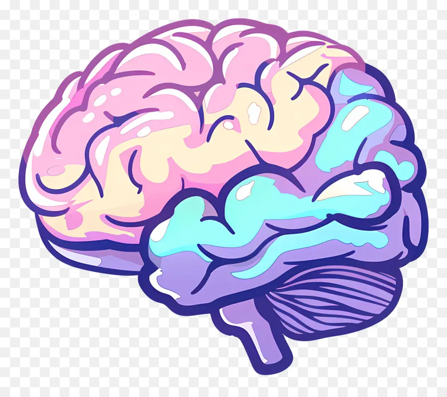 мультфильм мозг，мозг PNG