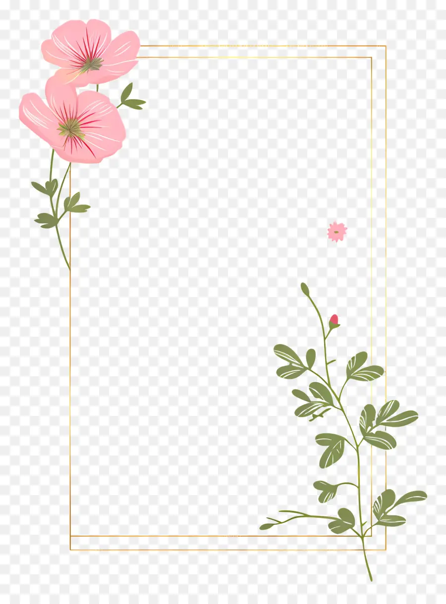 Золотая линия，Розовые цветы PNG