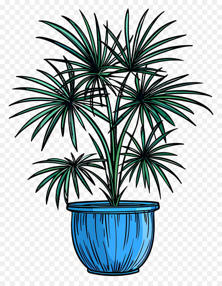 мексиканская веерная Пальма，синий горшок PNG