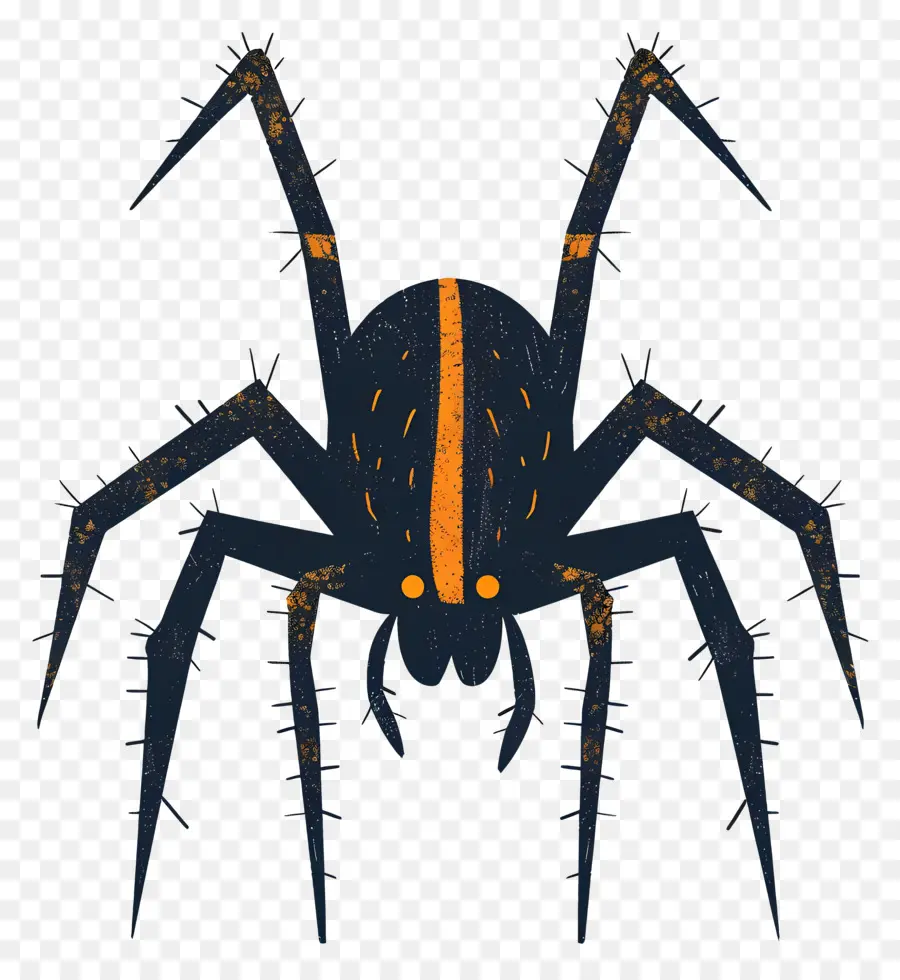 паук，черный паук PNG