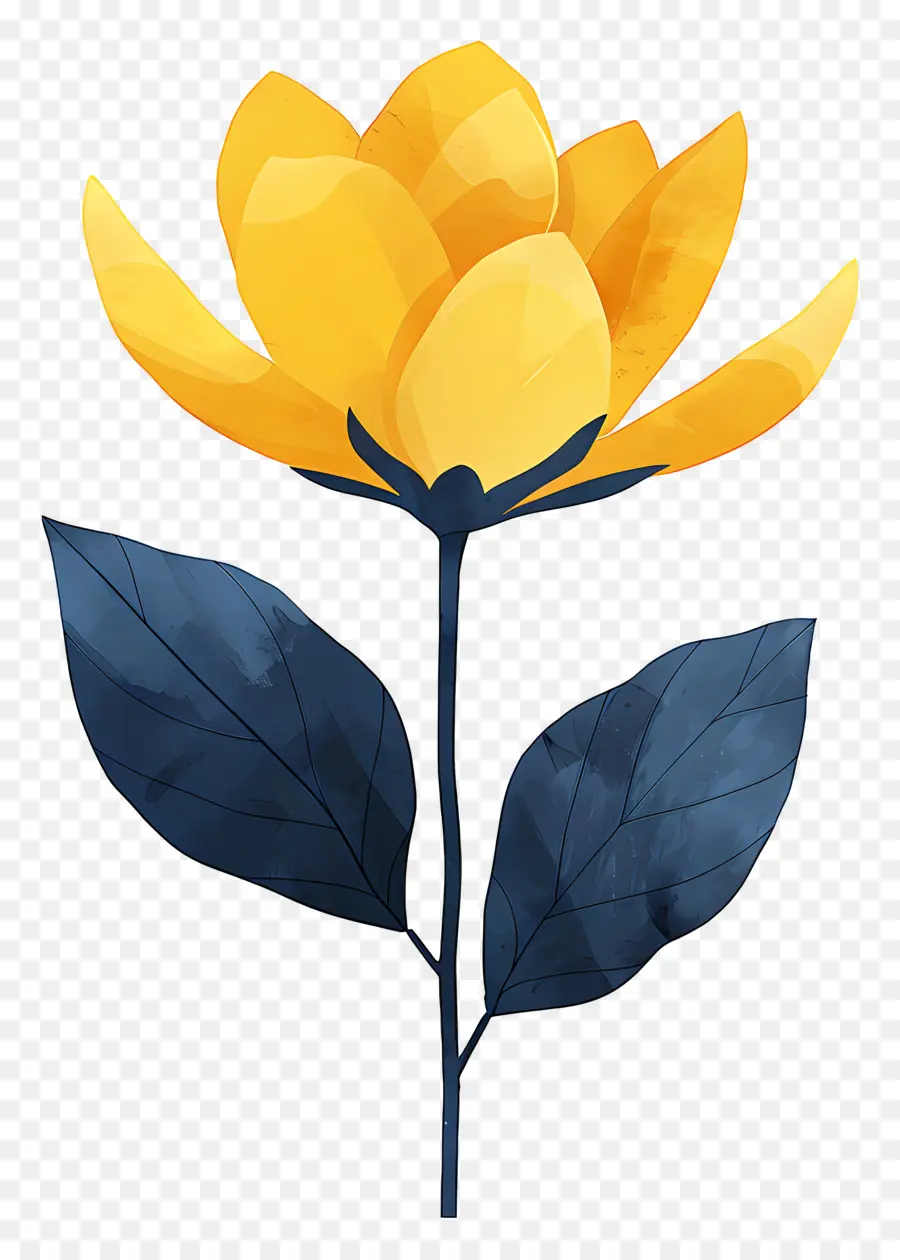 цветок，желтый цветок PNG