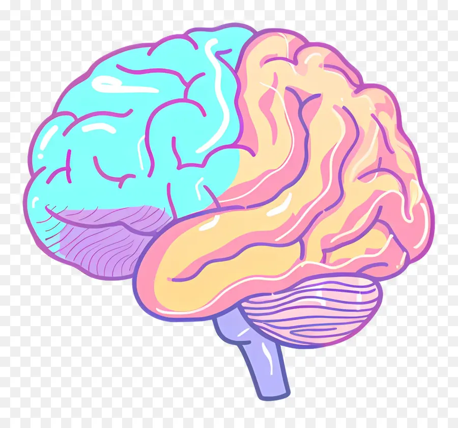 мультфильм мозг，Человеческий мозг PNG