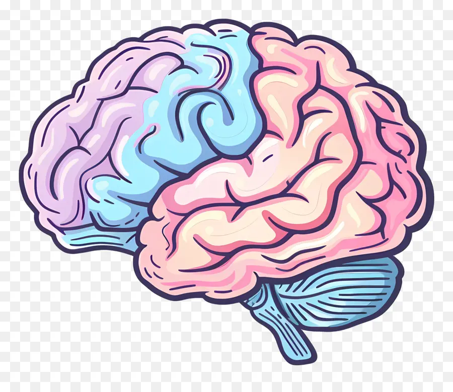 мультфильм мозг，анатомия головного мозга  PNG