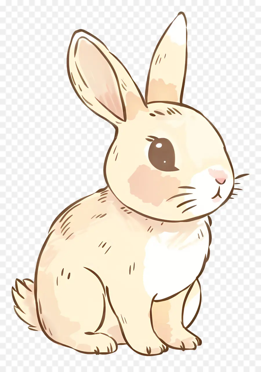 мультфильм кролик ，белый мех PNG