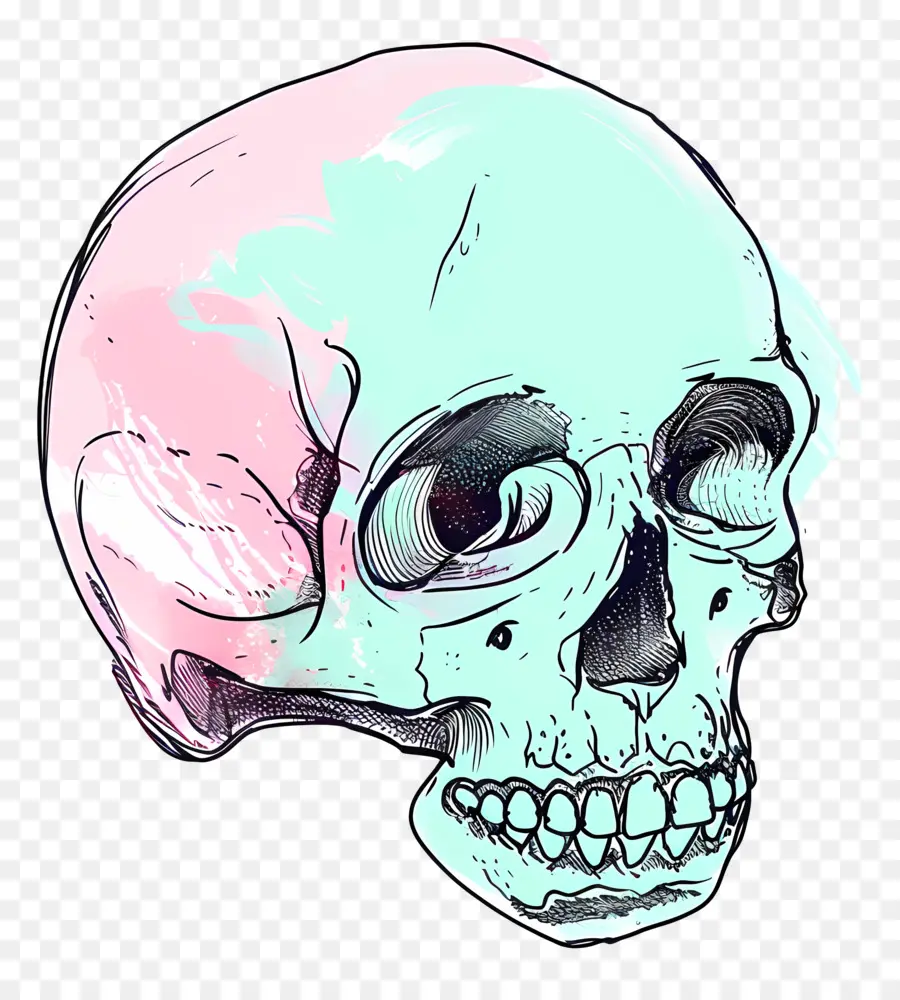 мультфильм череп，Человеческий череп PNG