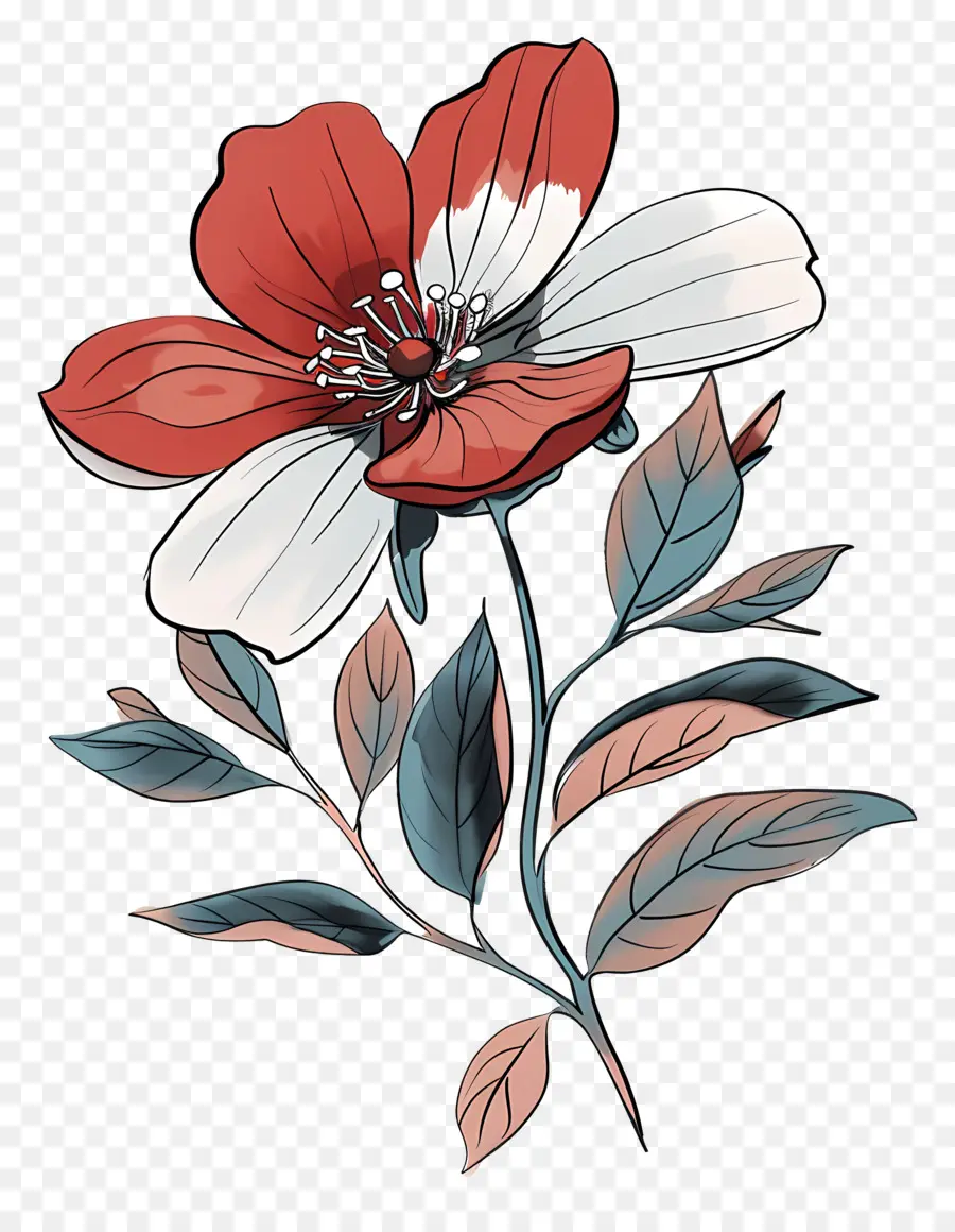 мультфильм цветок，красный и белый цветок PNG