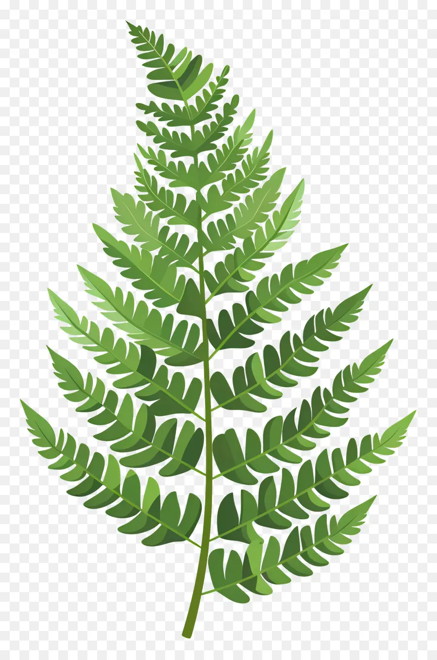 папоротник лист，зеленые и коричневые оттенки PNG