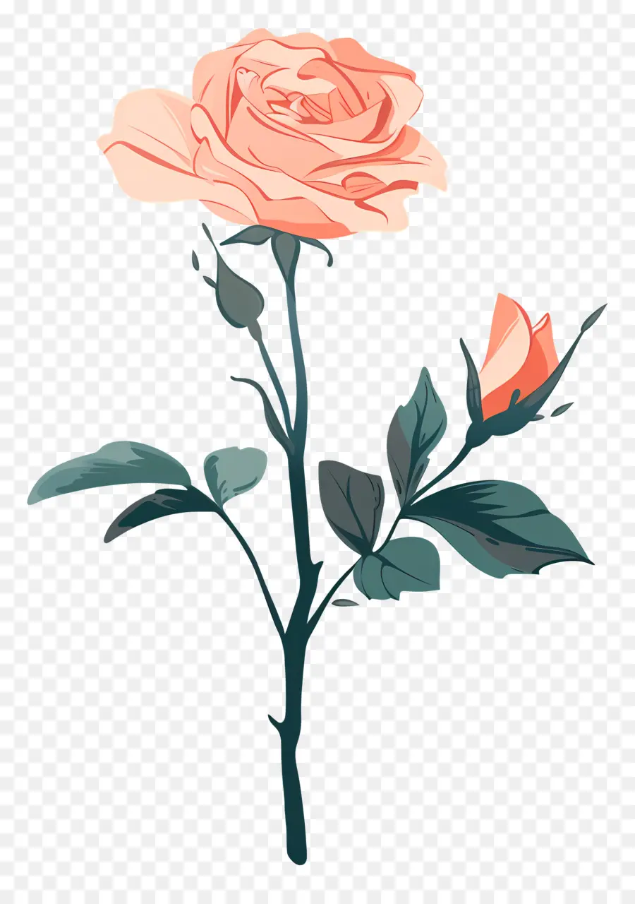одиночная роза，Роза PNG